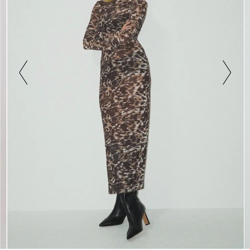 Tight Mesh Midi Dress - Picture 6 of 7